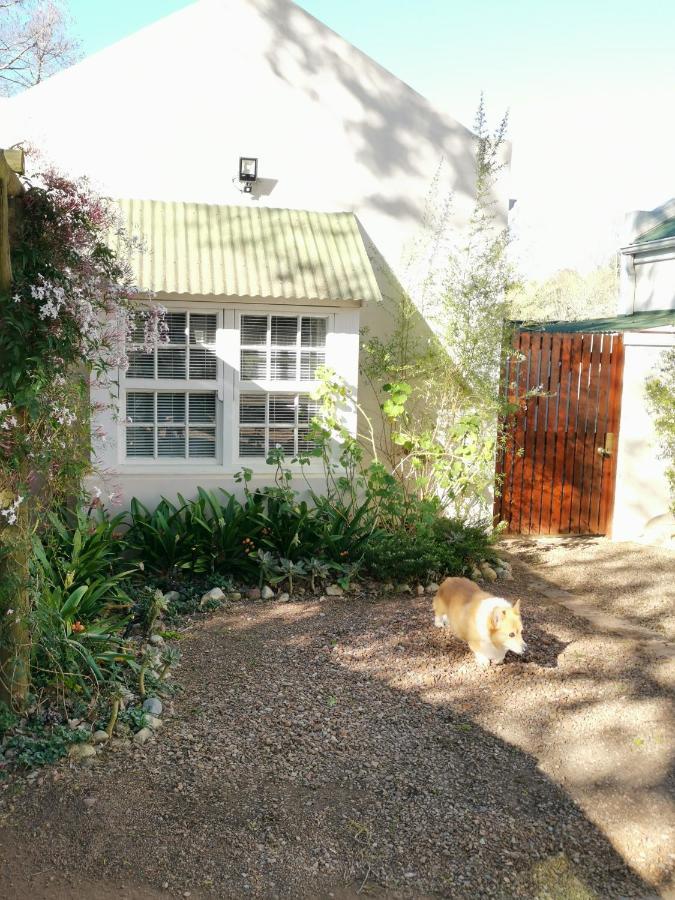 30 Oak Street Hotell Greyton Eksteriør bilde